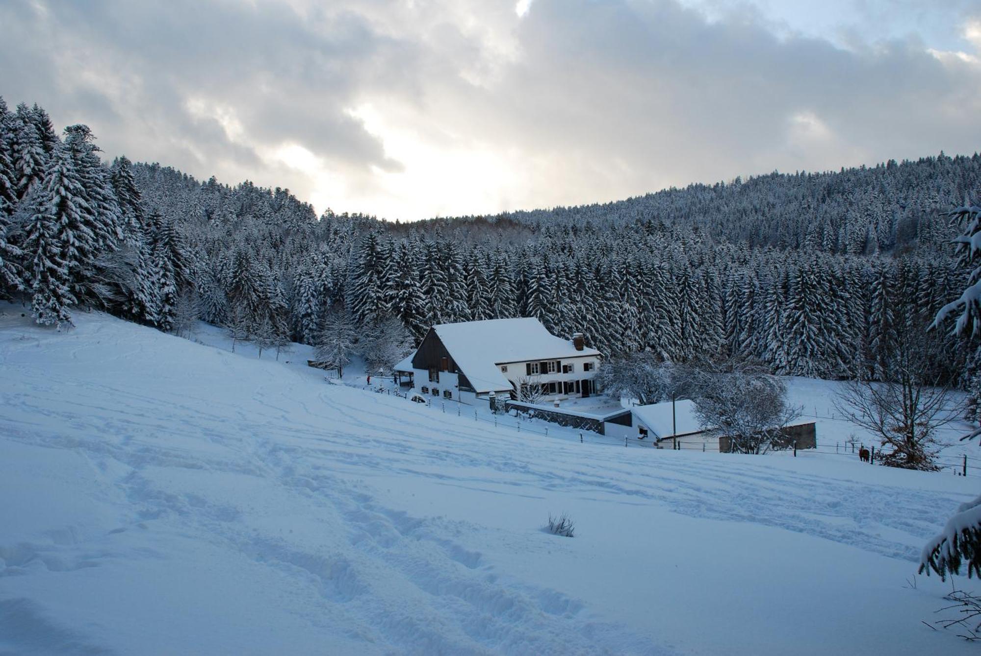 Chambre D'Hotes Kieffer Le Grand Bienfaisy เรเมียร์มอง ภายนอก รูปภาพ