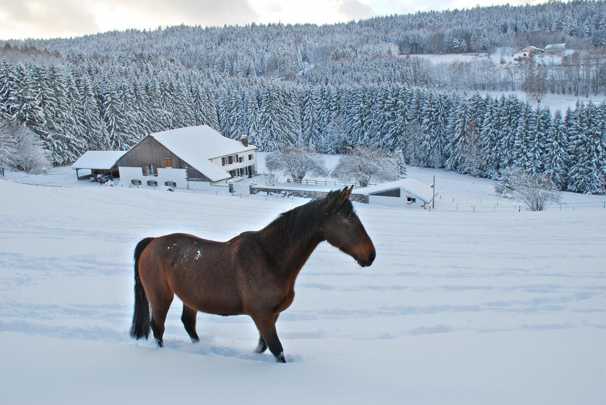Chambre D'Hotes Kieffer Le Grand Bienfaisy เรเมียร์มอง ภายนอก รูปภาพ