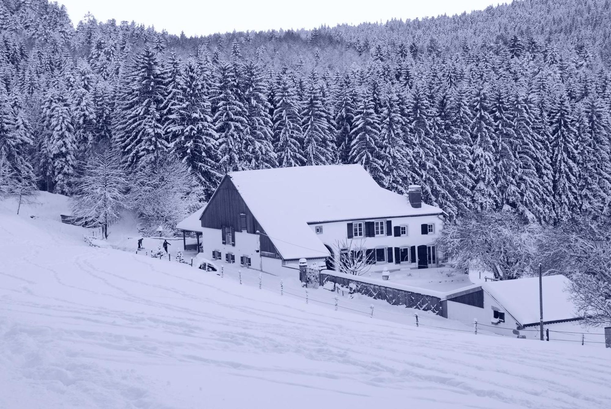 Chambre D'Hotes Kieffer Le Grand Bienfaisy เรเมียร์มอง ภายนอก รูปภาพ